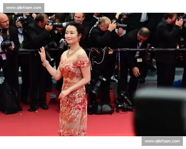 赵涛粉丝 “二十年之约” 戛纳冲刺：一场演技与情怀的双向奔赴